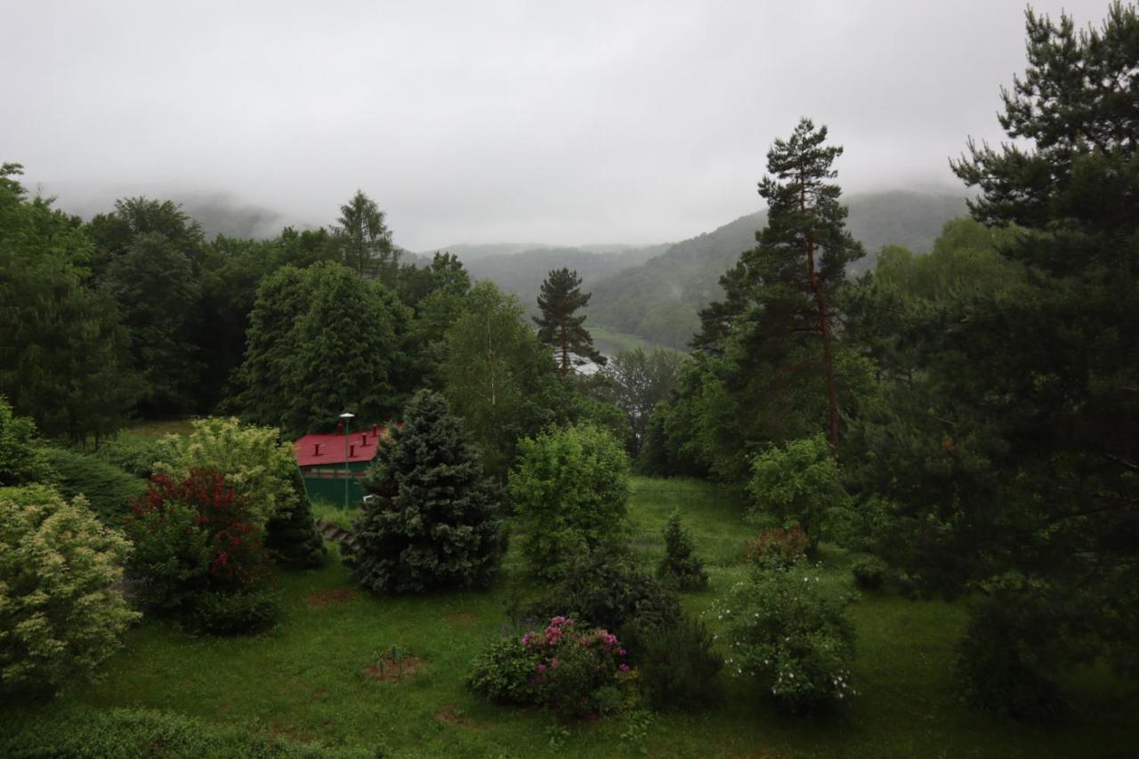 Hotel Osrodek Wypoczynkowy " Bieszczady" à Myczkowce Extérieur photo